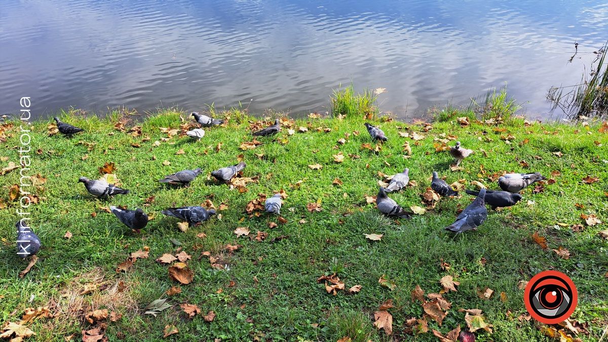 Сонячний і теплий: яким був вересень 2024 у Коломиї 1