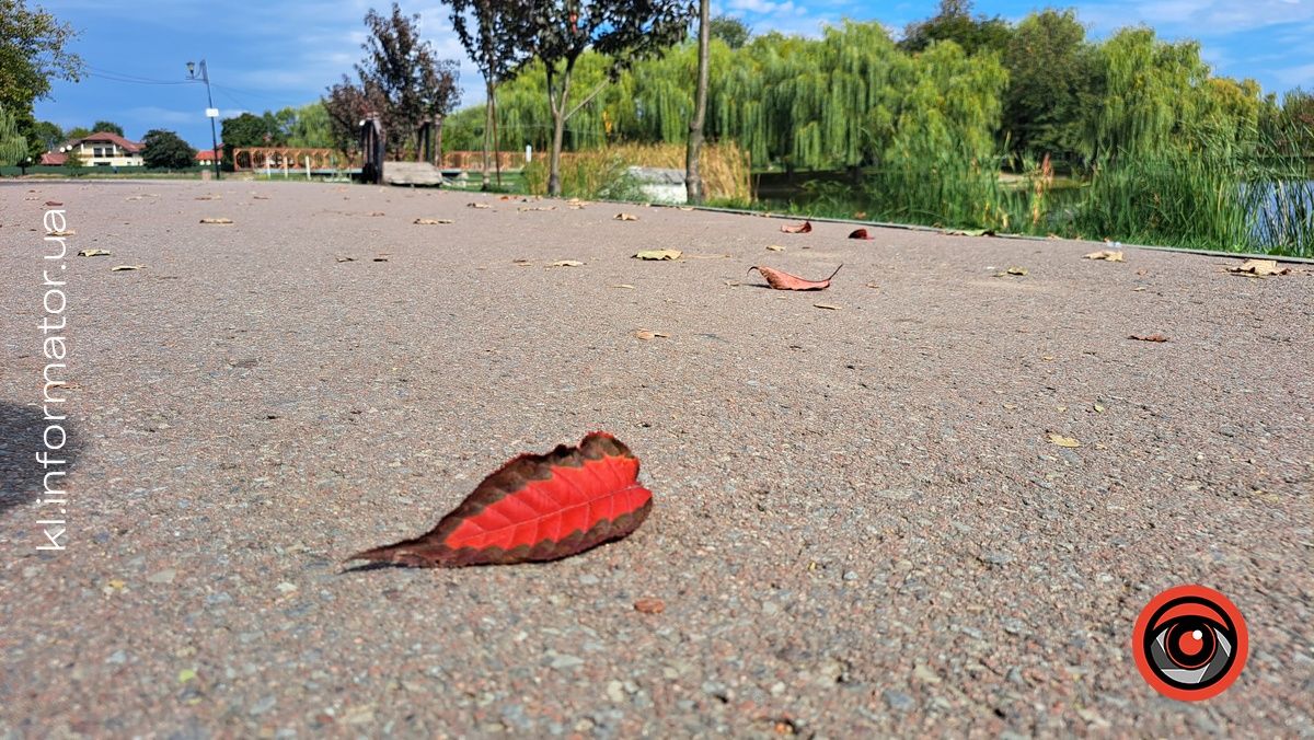 Сонячний і теплий: яким був вересень 2024 у Коломиї 2