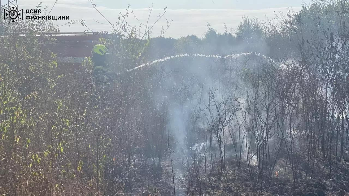 Протягом чотирьох годин вогнеборці гасили пожежу сухої трави в Отинійському лісництві 1