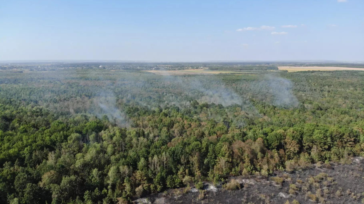 Протягом чотирьох годин вогнеборці гасили пожежу сухої трави в Отинійському лісництві 2