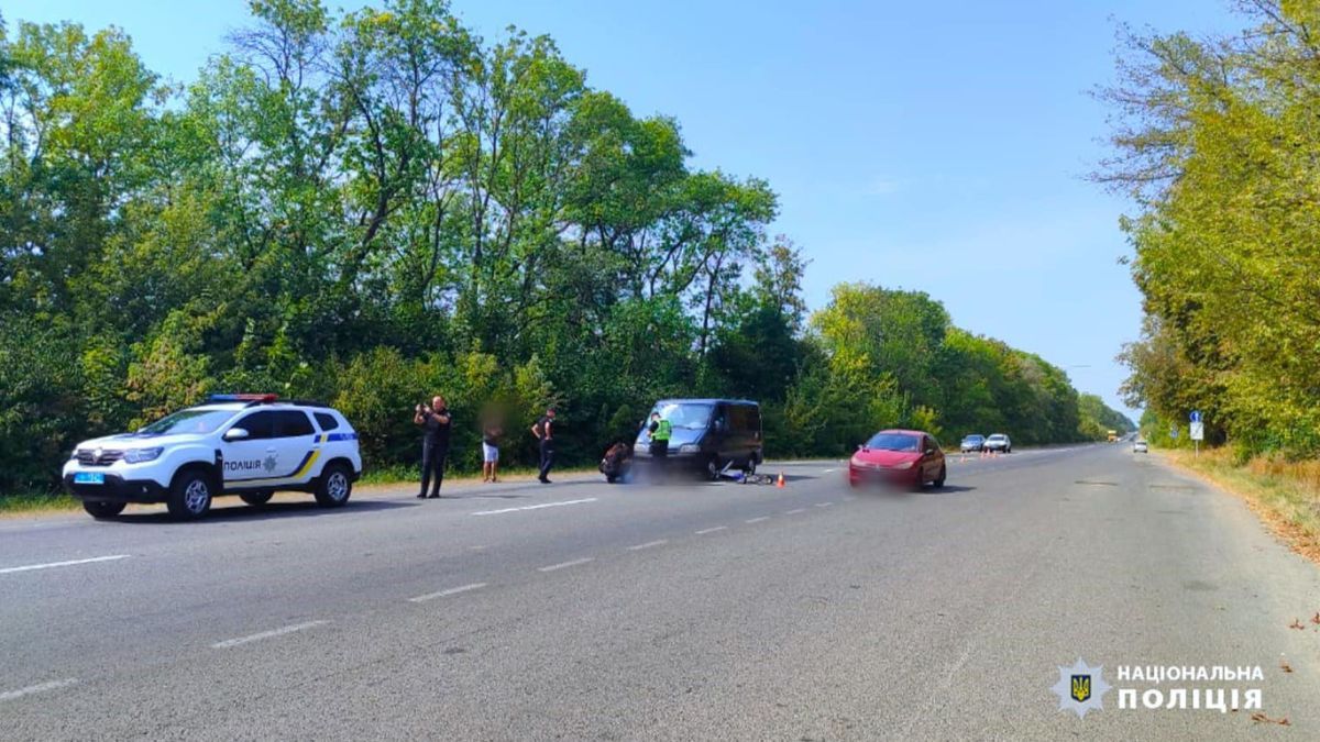 Коломиянка на смерть збила велосипедиста на трасі Н-10 3