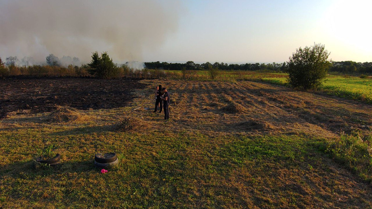 У Коломиї оштрафували двох паліїв сухої трави 2