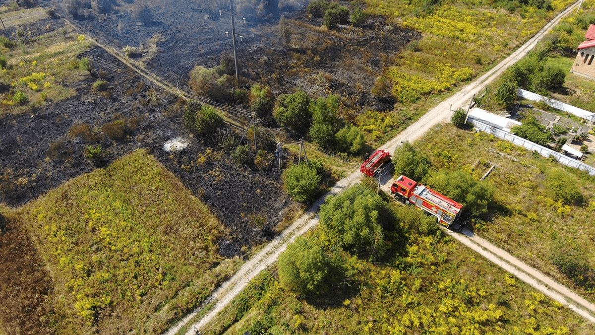 У Коломиї оштрафували двох паліїв сухої трави 3