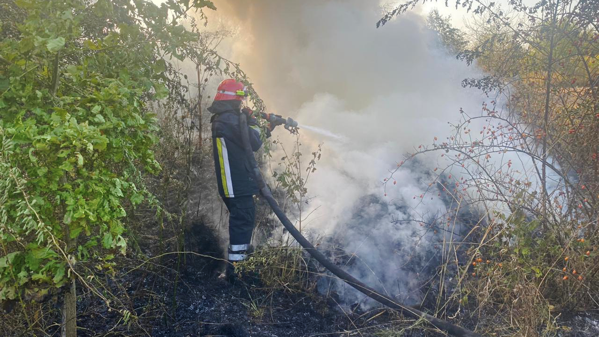 У Коломиї оштрафували двох паліїв сухої трави 1