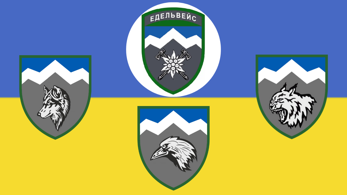 Відважні "Едельвейси" | 10 ОГШБР відзначає 9-ту річницю створення 1