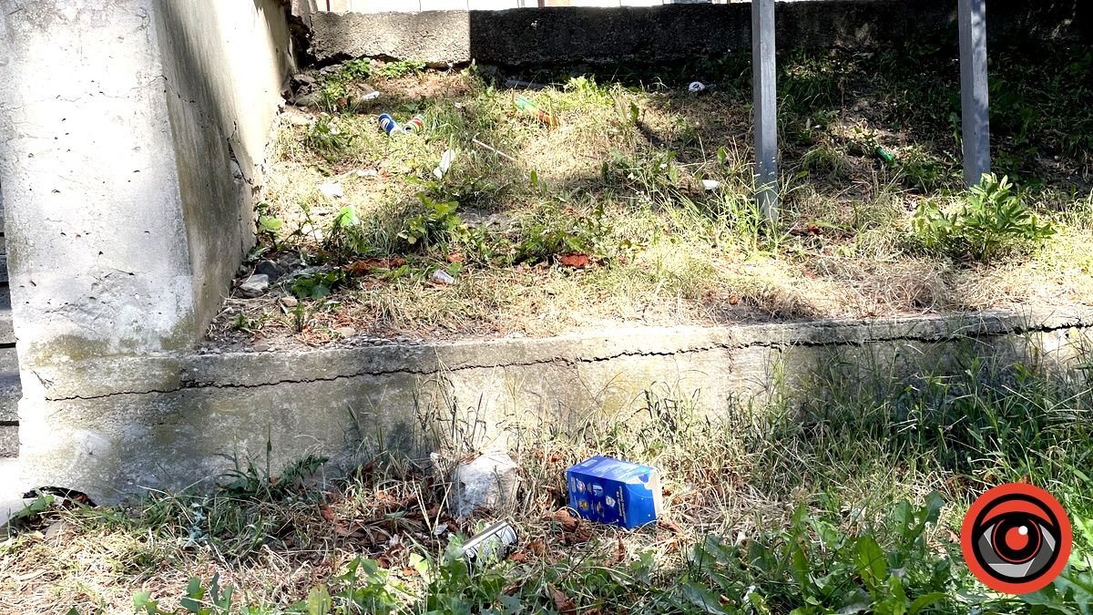 Накидали - притоптали: як у Коломиї молодь ставиться до чистоти 2