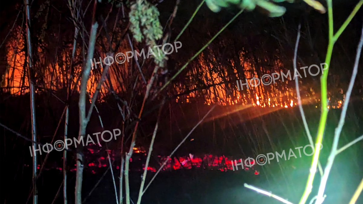 Пожежа у селі Запруття