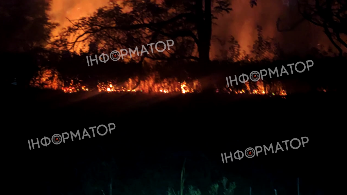 Пожежа у селі Запруття