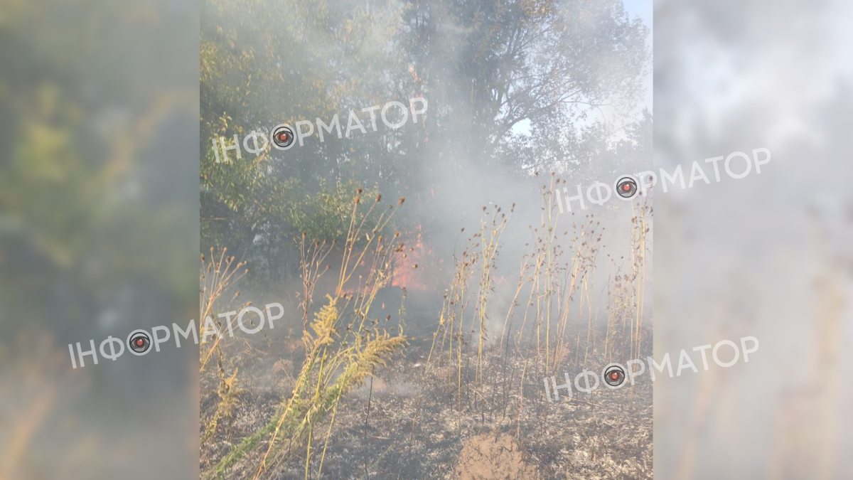 Пожежа у Коломиї