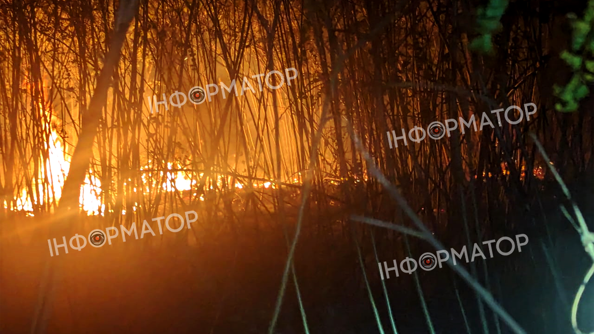 На об'їзній у Коломиї палало майже 2 тисячі м² сухої трави