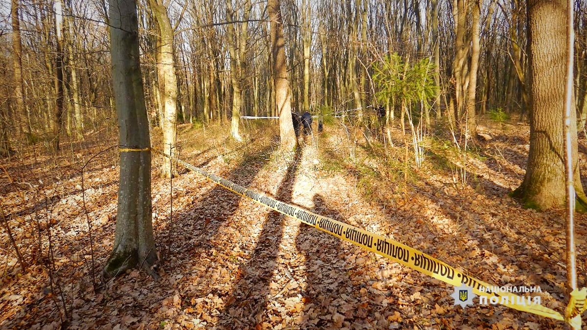 Задушив сестру і закопав у лісі на Надвірнянщині. Який вирок? 1