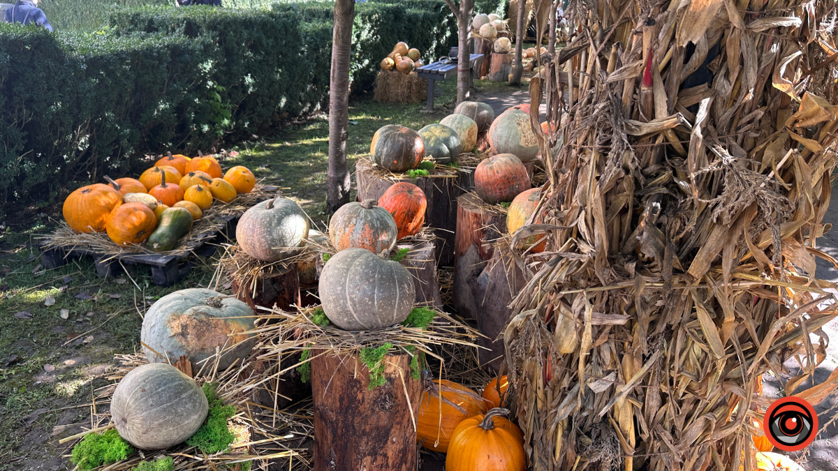Гарбузи та ретро автомобіль: у середмісті Коломиї з'явилась осіння фотозона 1