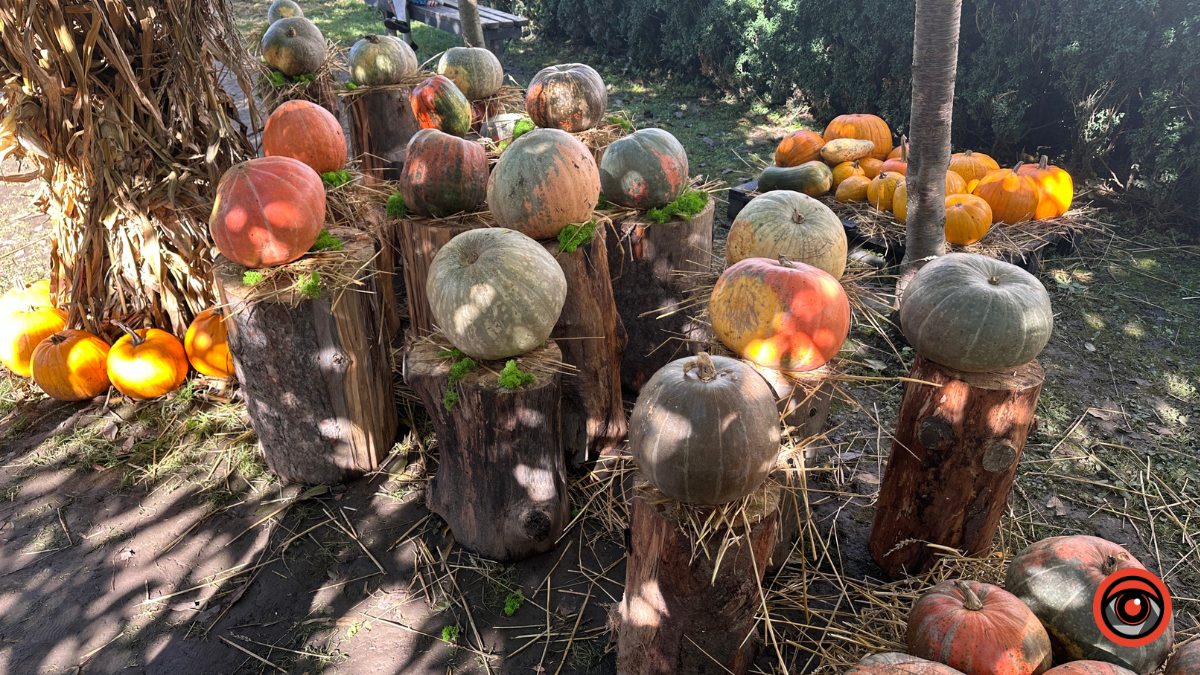 Гарбузи та ретро автомобіль: у середмісті Коломиї з'явилась осіння фотозона 2