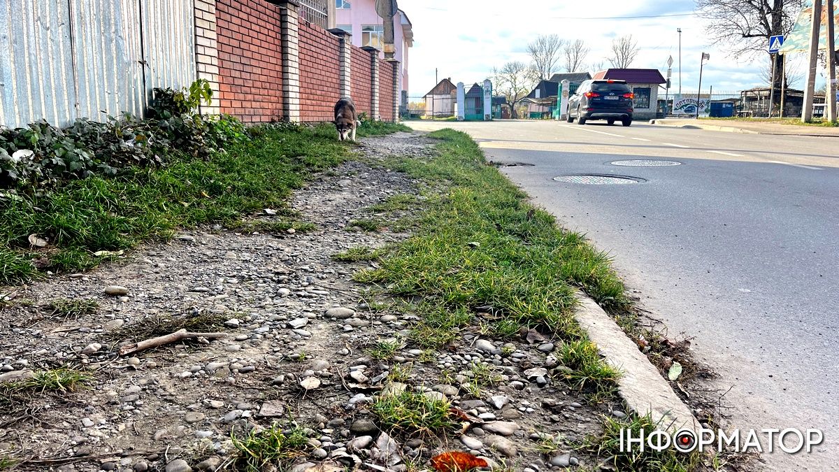 Коломиянка зламала руку посеред тротуару 3