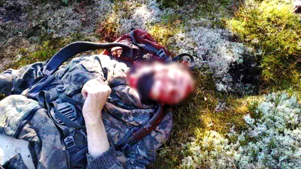 УВАГА! Спростовано інформацію, буцімто у Карпатах ухилянта загризла ведмедиця 2