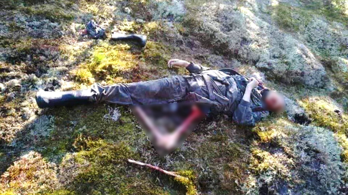 УВАГА! Спростовано інформацію, буцімто у Карпатах ухилянта загризла ведмедиця 3