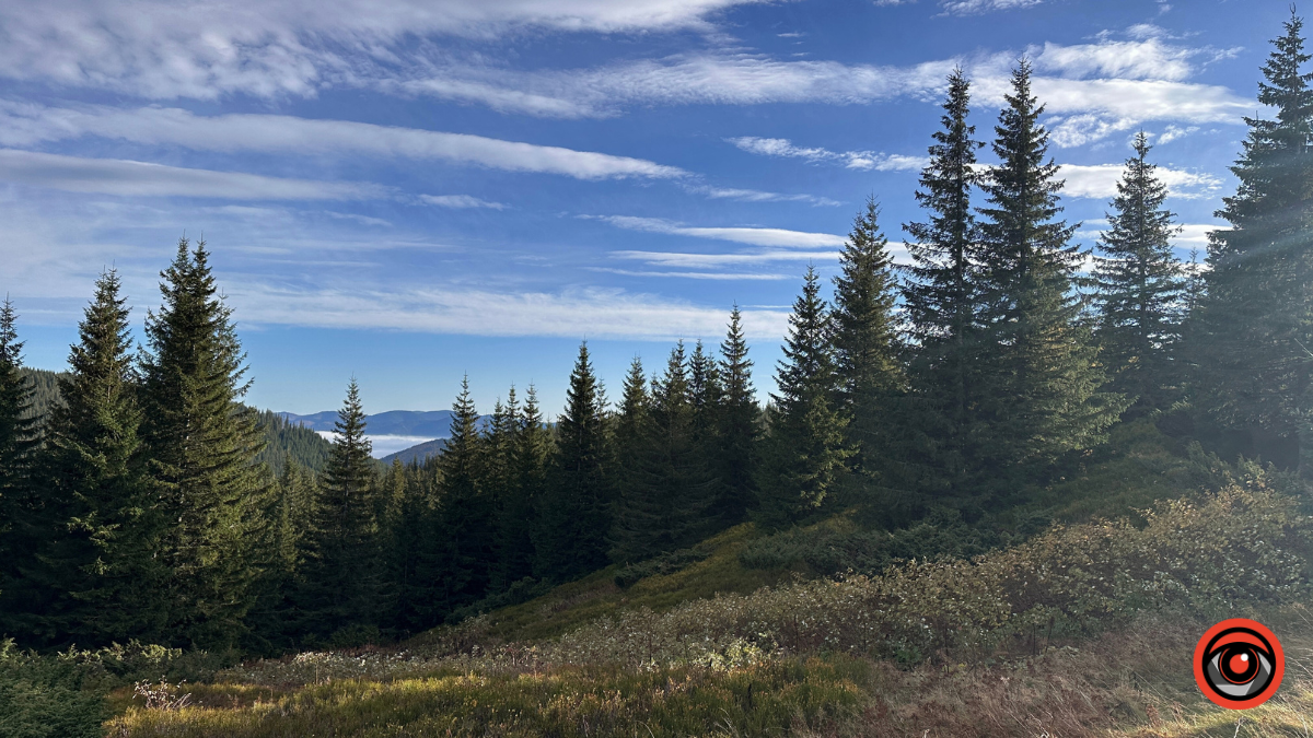 Холодний подих осені в сонячних Карпатах: фоторепортаж з гір 3