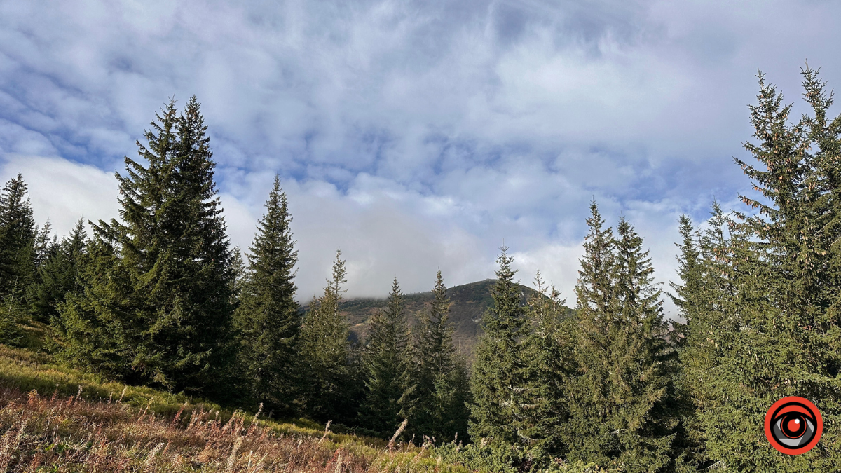 Холодний подих осені в сонячних Карпатах: фоторепортаж з гір 4