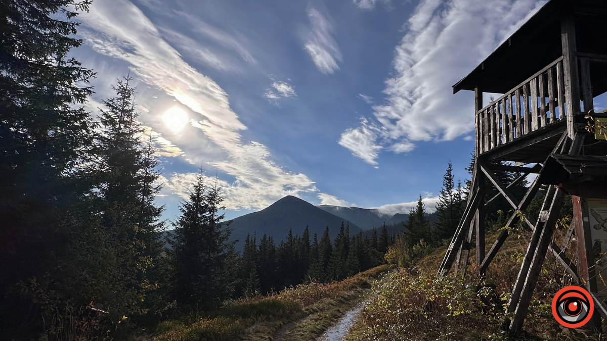 Холодний подих осені в сонячних Карпатах: фоторепортаж з гір 5