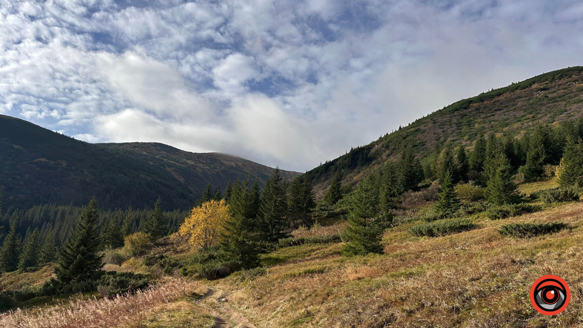Холодний подих осені в сонячних Карпатах: фоторепортаж з гір 8