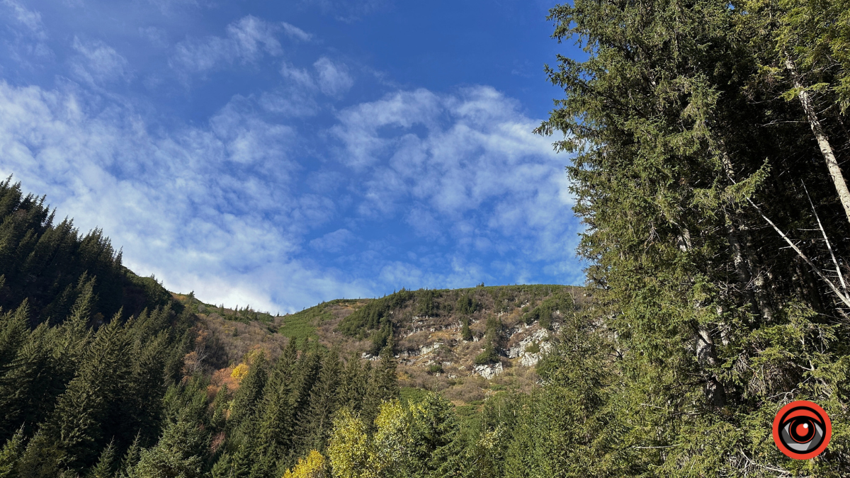 Холодний подих осені в сонячних Карпатах: фоторепортаж з гір 9