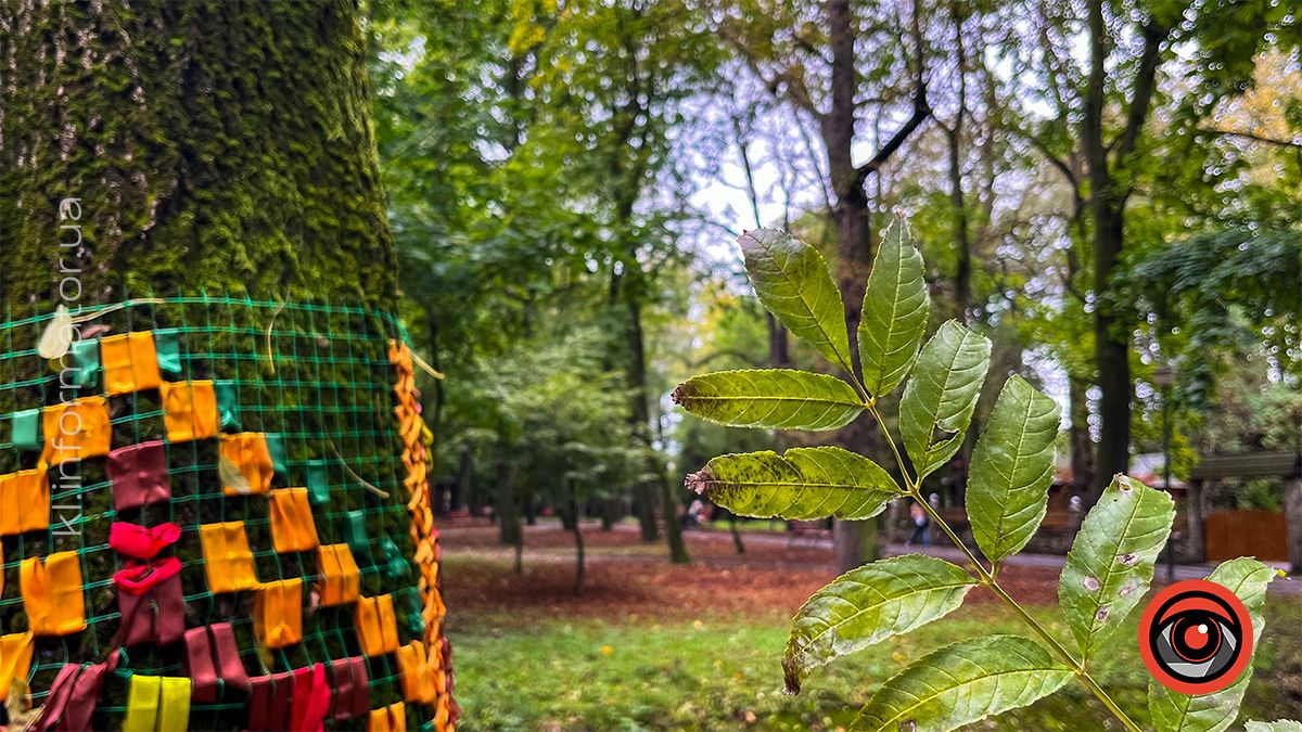 Осінні пейзажі у коломийському парку ім. Трильовського | Фоторепортаж 11