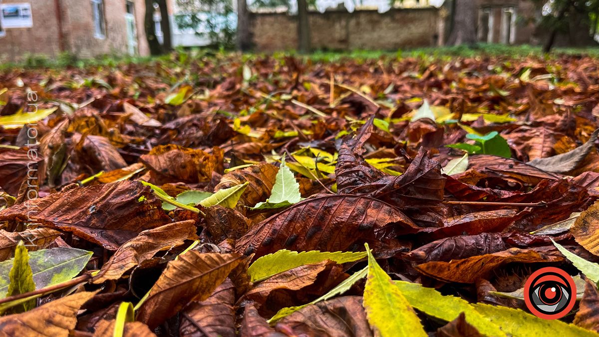 Осінні пейзажі у коломийському парку ім. Трильовського | Фоторепортаж 8