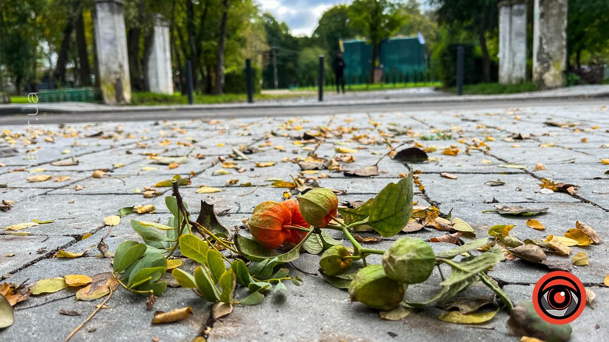 Осінні пейзажі у коломийському парку ім. Трильовського | Фоторепортаж 13