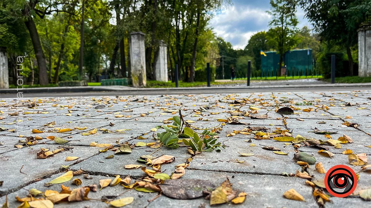 Погода у Коломиї 20 жовтня