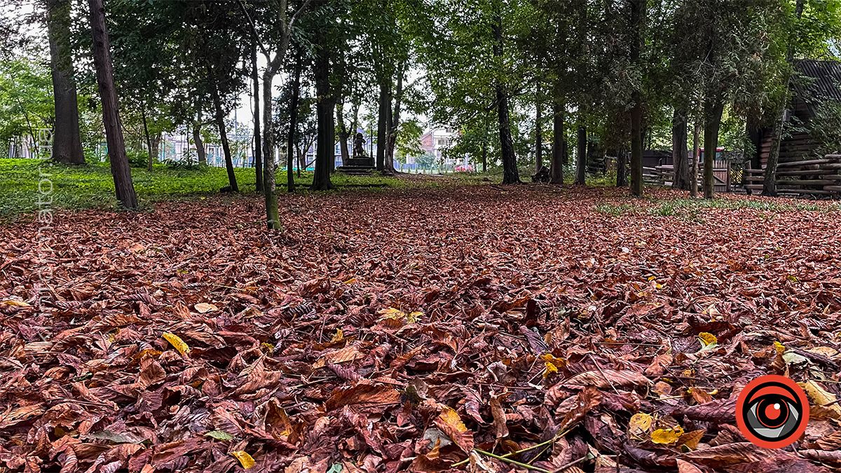 Осінні пейзажі у коломийському парку ім. Трильовського | Фоторепортаж 1
