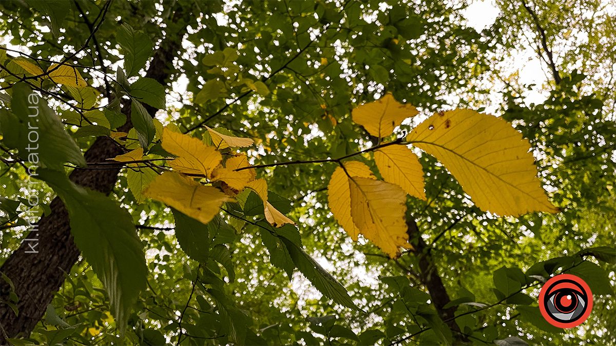 Осінні пейзажі у коломийському парку ім. Трильовського | Фоторепортаж 4