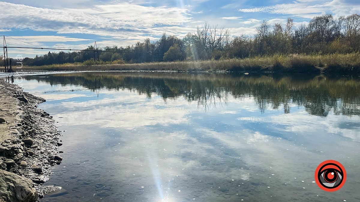 Коломийський Прут в обіймах сонця. Фоторепортаж 4