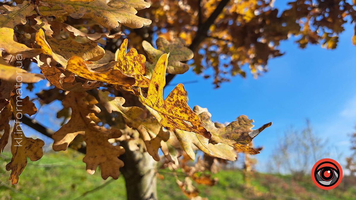 Коломийський Прут в обіймах сонця. Фоторепортаж 12