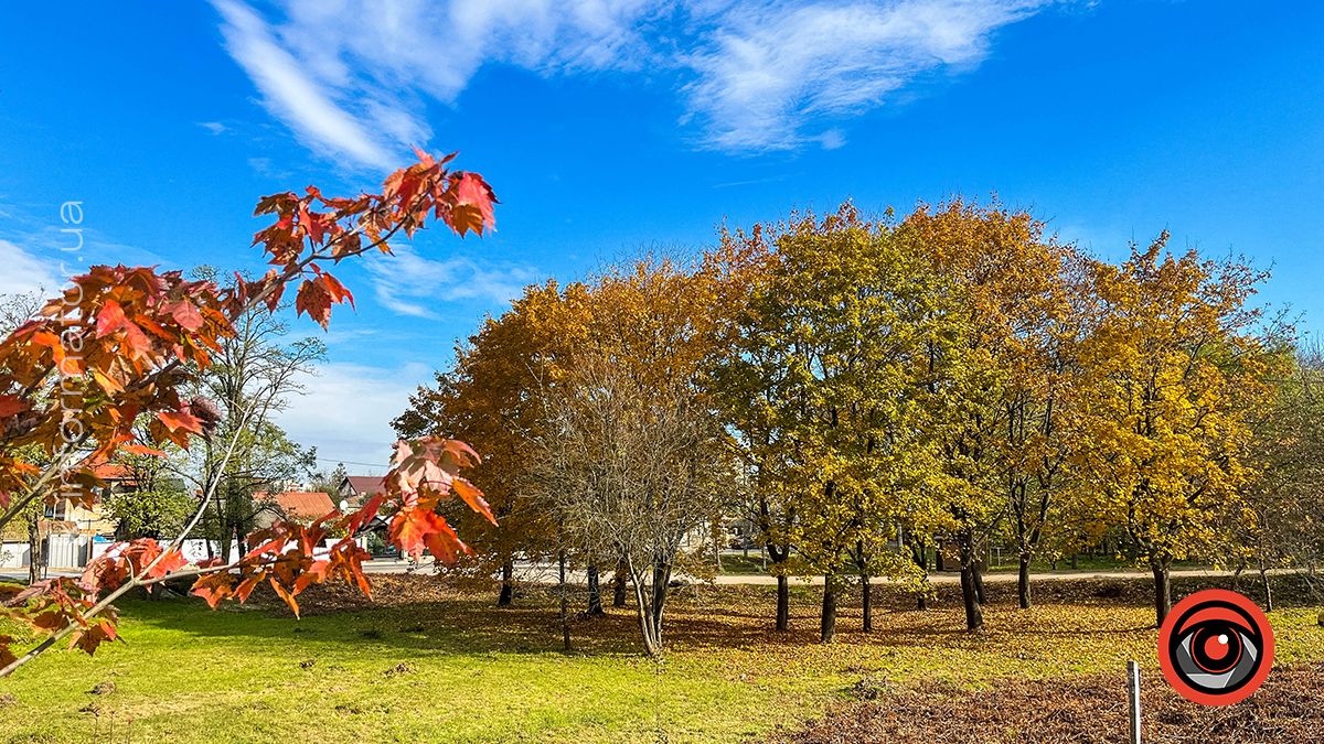 Коломийський Прут в обіймах сонця. Фоторепортаж 14