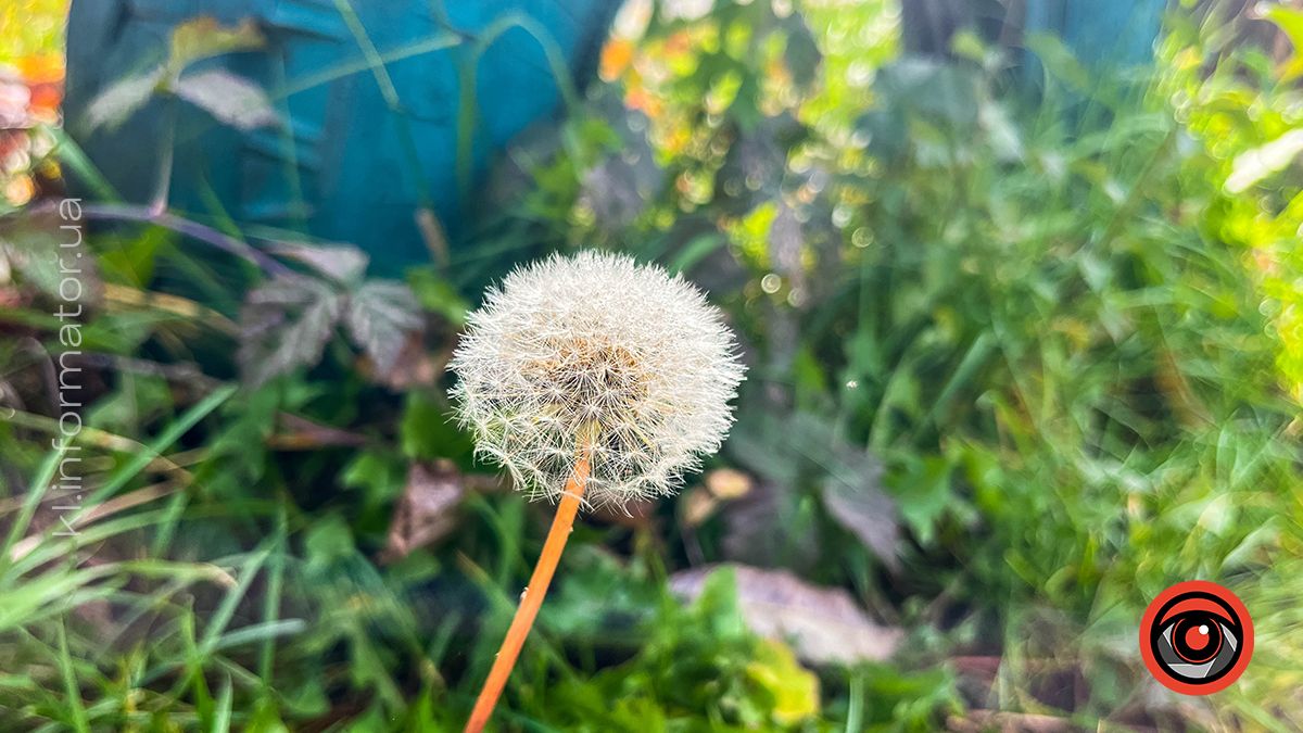 Коломийський Прут в обіймах сонця. Фоторепортаж 13