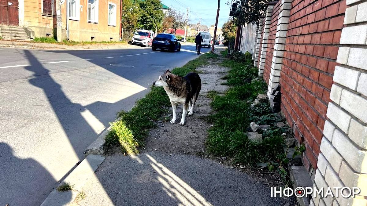 Коломиянка зламала руку посеред тротуару 2