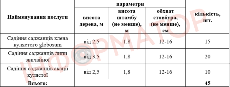 За нові дерева у Коломиї готові заплатити понад 150 тисяч гривень 1