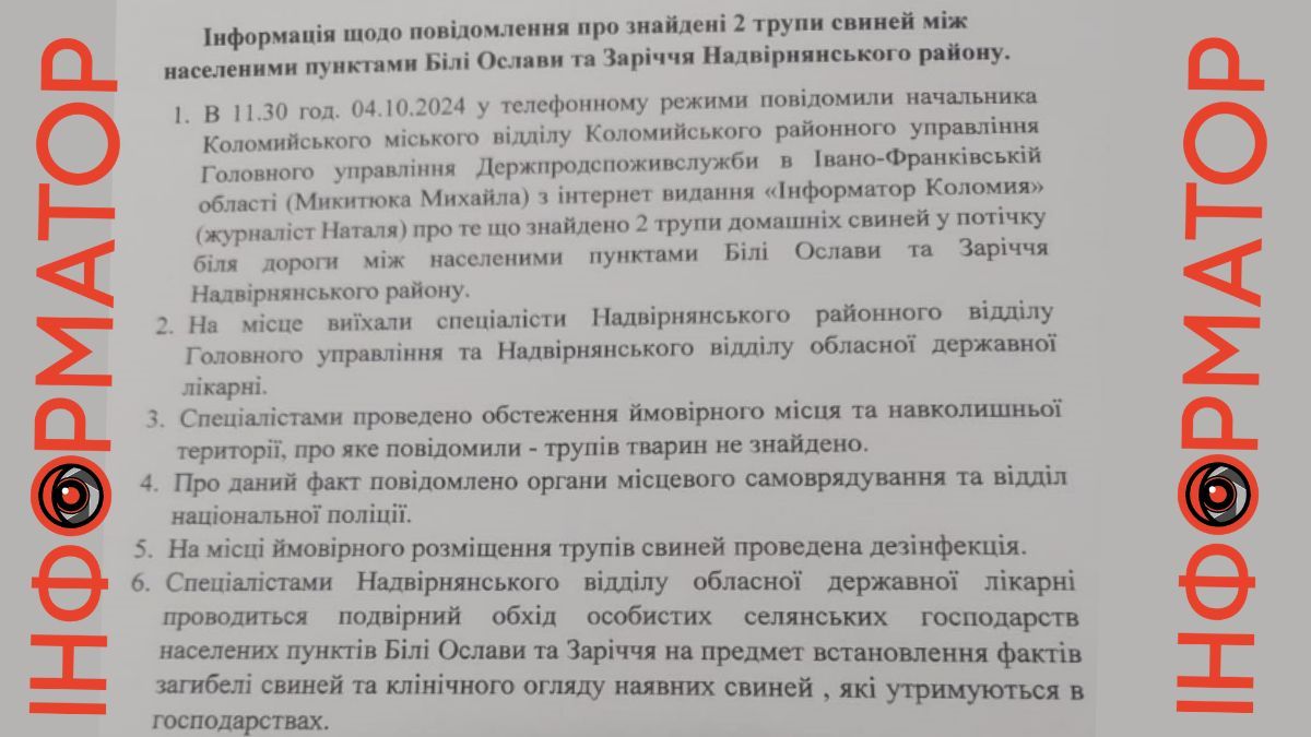 Трупи свиней зникли, лишилися тільки опариші: ситуація у Білих Ославах 1