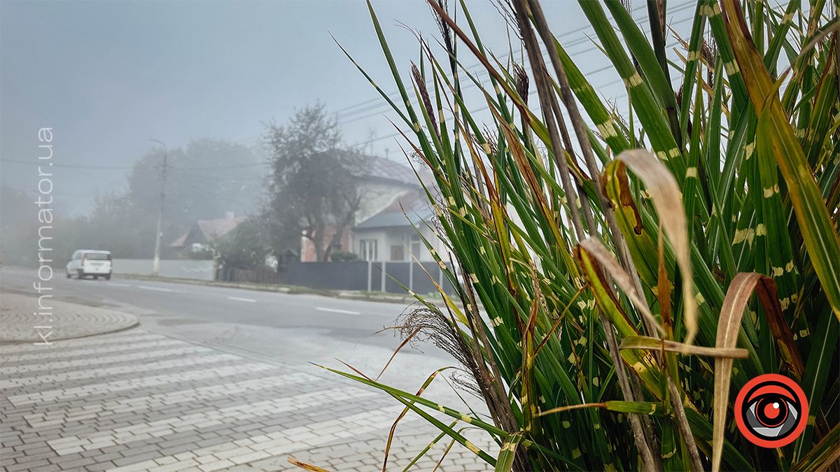 Туманні ранки у Коломиї. Фоторепортаж 8