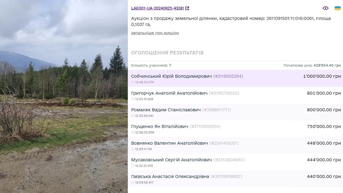 Коломиянин за 1 млн грн купив землю у Карпатах з аукціону 1
