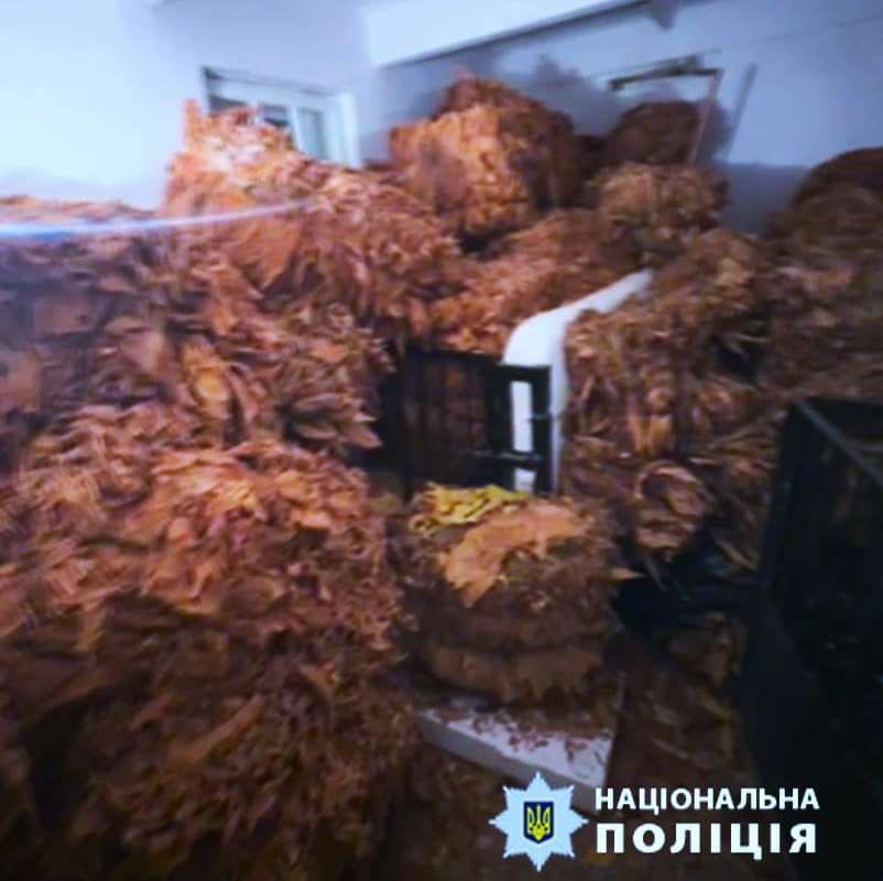 В авто мешканця Коломийщини знайшли 300 кг тютюну, в нього вдома - ще 500 2