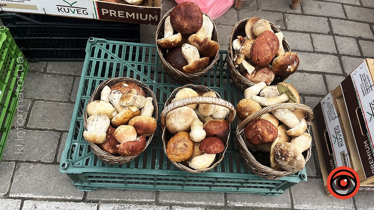 Запашні білі: які ціни на свіжі, сушені та мариновані гриби на ринку в Коломиї 1