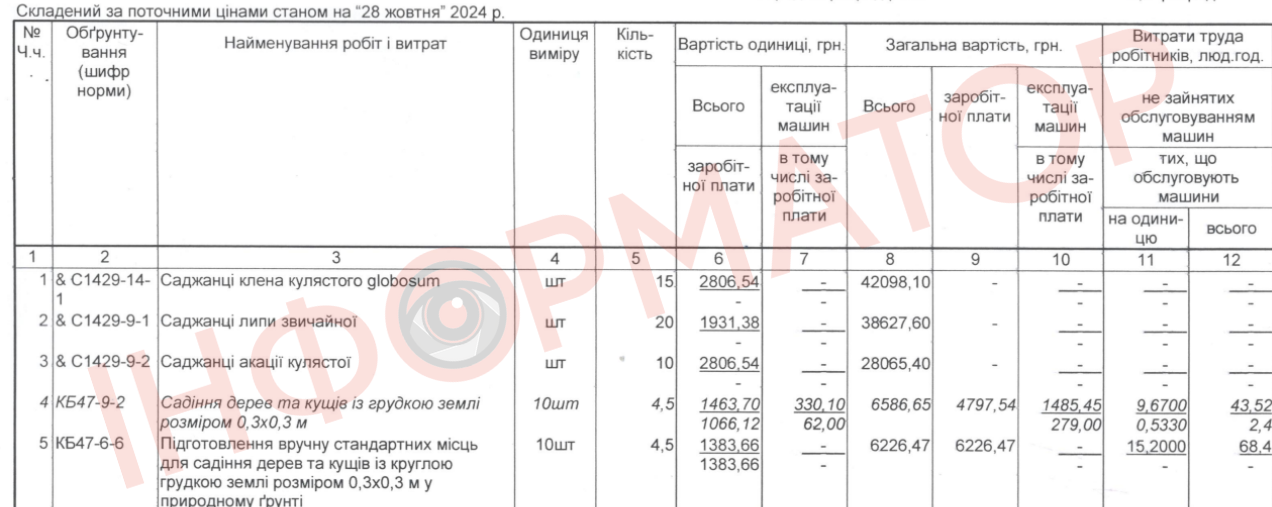 Від 1900 до 2800 за шт: коломийські комунальники таки закупили саджанці декоративних дерев 1