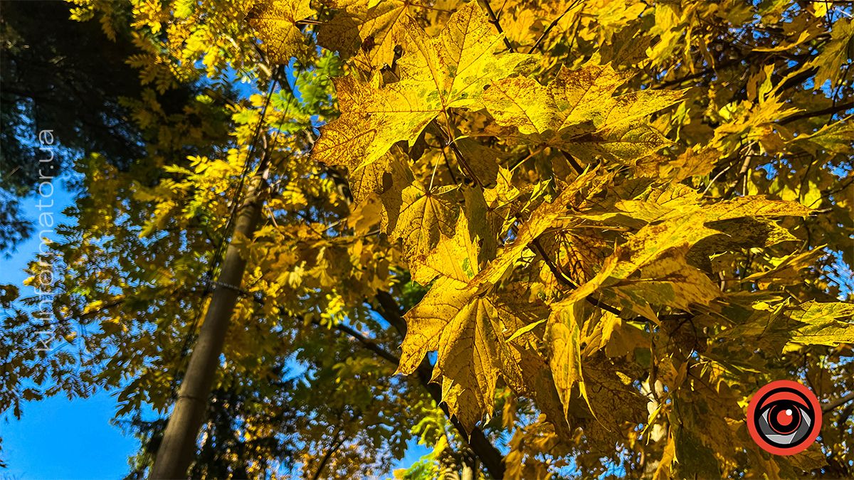 Між теплом осені та прохолодою зими: Коломия у листопаді 2024 11