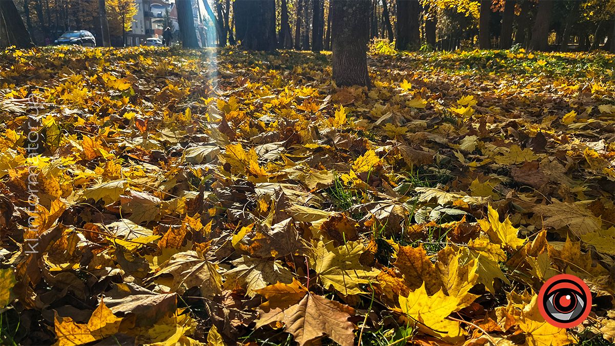 Між теплом осені та прохолодою зими: Коломия у листопаді 2024 12