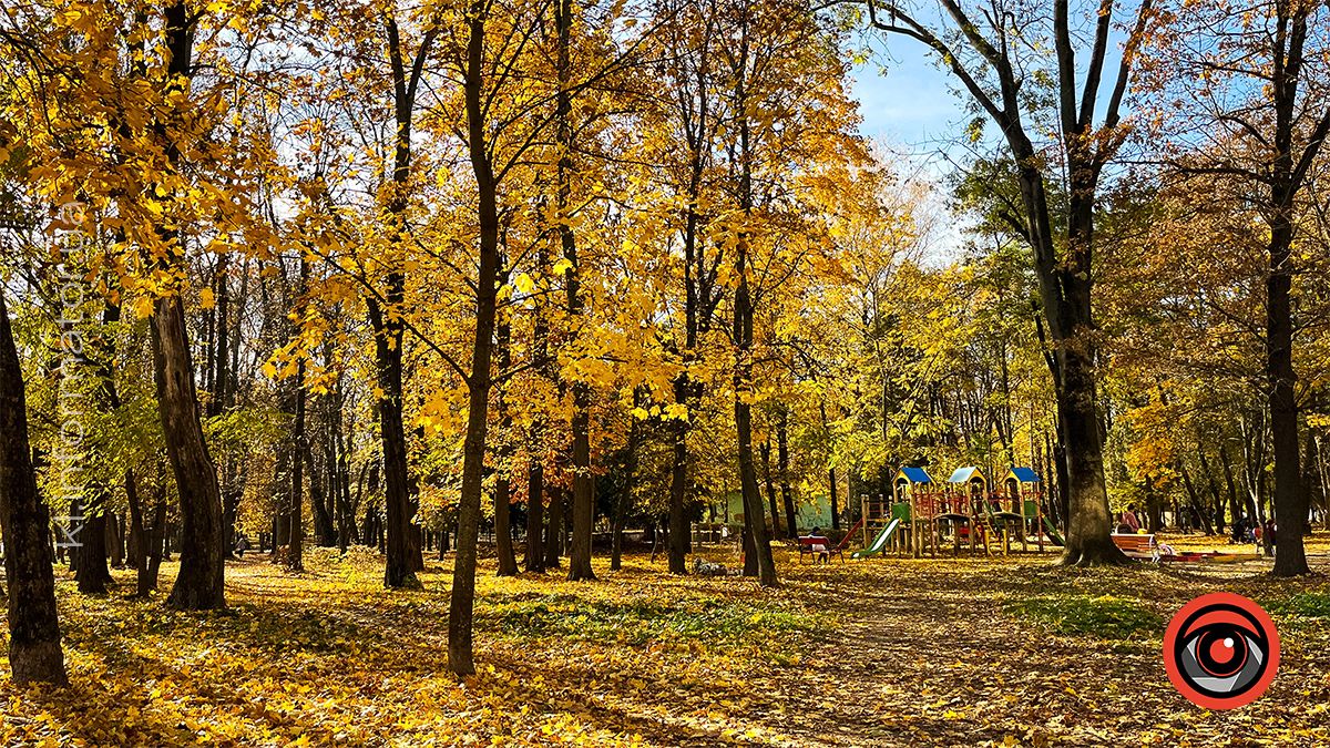 Між теплом осені та прохолодою зими: Коломия у листопаді 2024 13