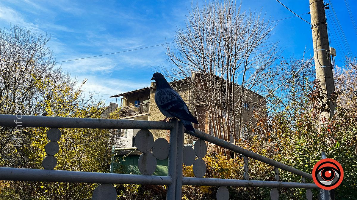 Між теплом осені та прохолодою зими: Коломия у листопаді 2024 14