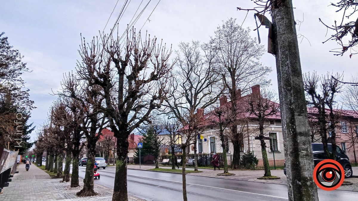 Між теплом осені та прохолодою зими: Коломия у листопаді 2024 17