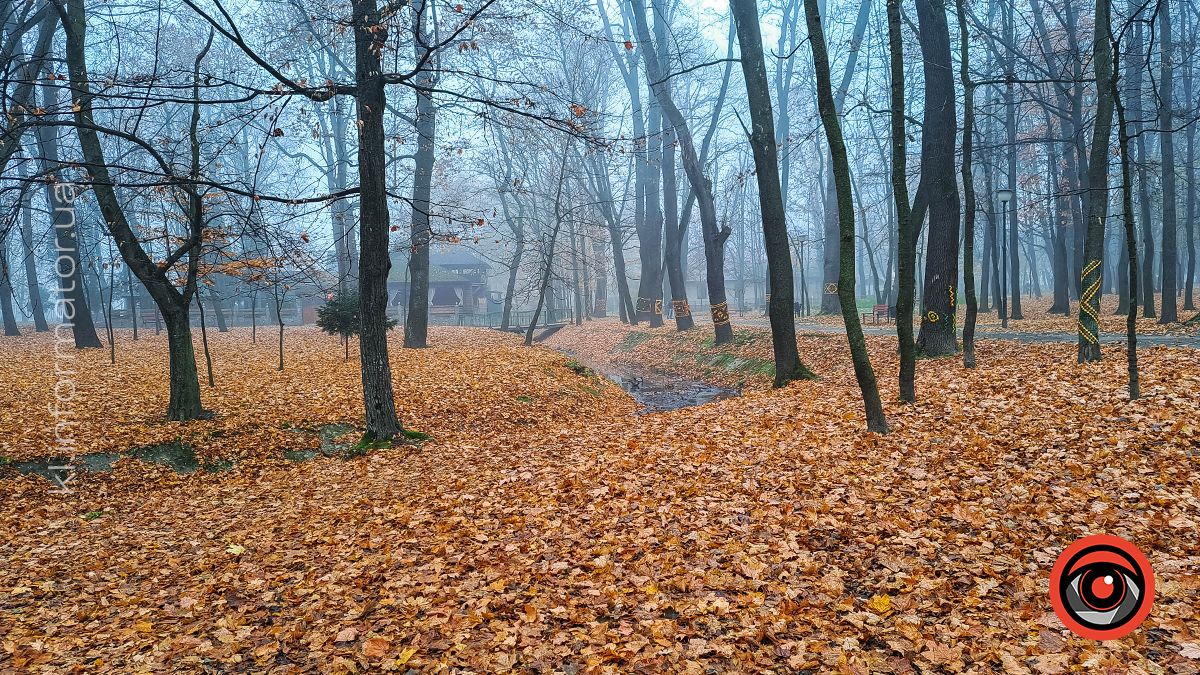 Між теплом осені та прохолодою зими: Коломия у листопаді 2024 18