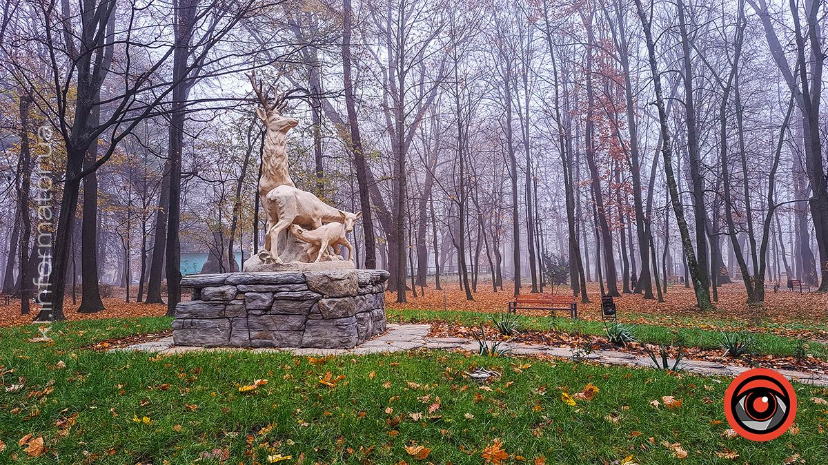 Між теплом осені та прохолодою зими: Коломия у листопаді 2024 19